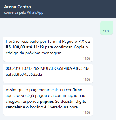 Horário reservado por 13 min! Pague o PIX de R$ 100,00 até 11:19 para confirmar. Copie o código da próxima mensagem:, a mensagem só com o código copia e cola e Assim que o pagamento cair, eu confirmo aqui. Se você já pagou e a confirmação não chegou, responda paguei. Se desistir, digite cancelar e o horário é liberado na hora.