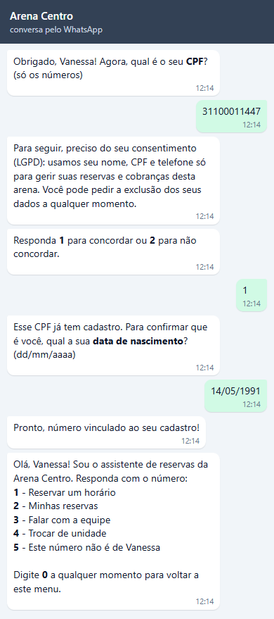 Conversa de Vanessa: CPF e consentimento, Esse CPF já tem cadastro. Para confirmar que é você, qual a sua data de nascimento? (dd/mm/aaaa), ela digita 14/05/1991, recebe Pronto, número vinculado ao seu cadastro! e o menu Olá, Vanessa!